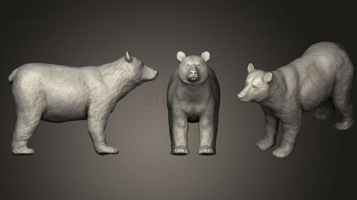 3D модель Бурый Медведь (STL)